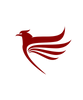 falcon - Home